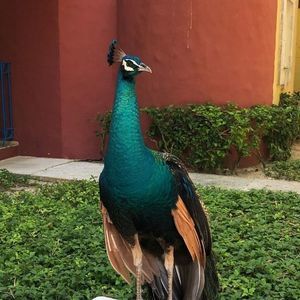 Meet your Posher, Jayne